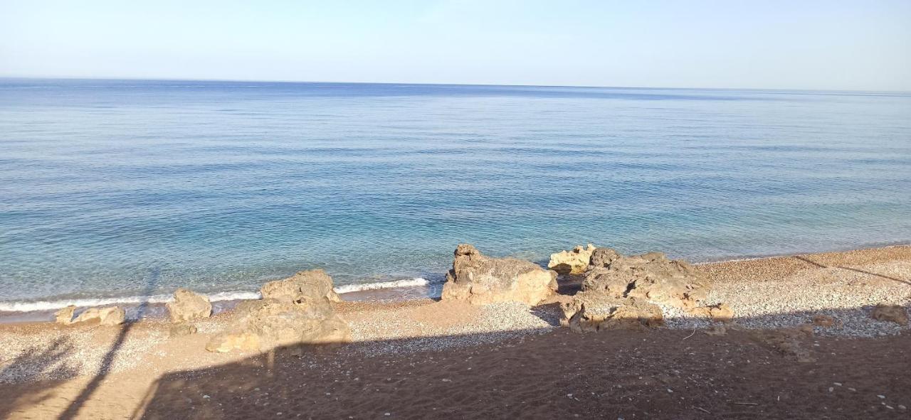 Akrogiali キパリシア エクステリア 写真